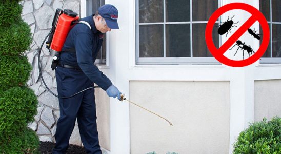 Tuşba Bit İlaçlama böcek ilaçlama ve haşere kontrolü — ilaclama-tr.com